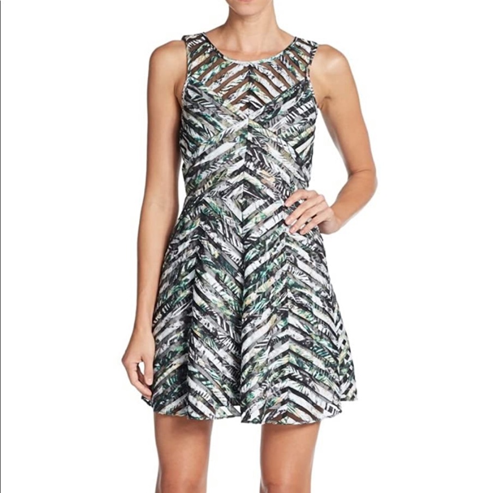 Parker “Mirabella” fit and flare dress.
